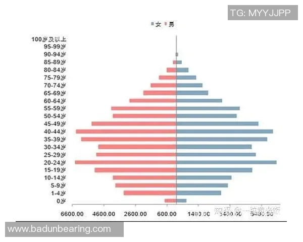 杭州足球队实力分析聚焦球队发展与未来潜力探讨