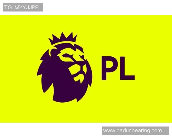 英超篮球专题深度解析深圳篮球队的战术意识与团队协作能力 英超篮球专题深度解析深圳篮球队的战术意识与团队协作能力