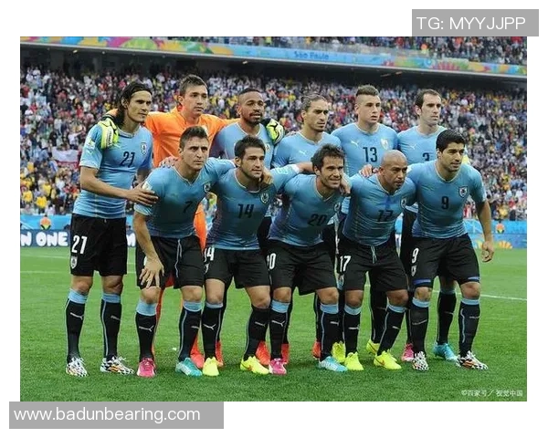 广州排球队转型之路的纪实探索与欧冠足球的精彩碰撞 广州排球队转型之路的纪实探索与欧冠足球的精彩碰撞