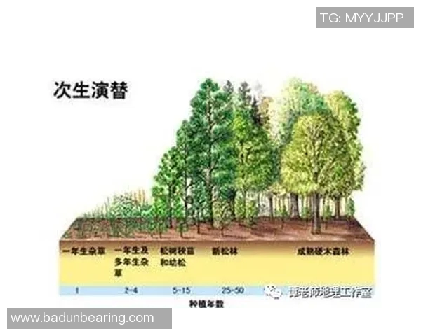 今年运动数据重磅专题探索LNG行业的整体压制革新与未来发展趋势